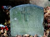 image of grave number 196787